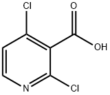 Kwas 2,4-dichloropirydyno-3-karboksylowy