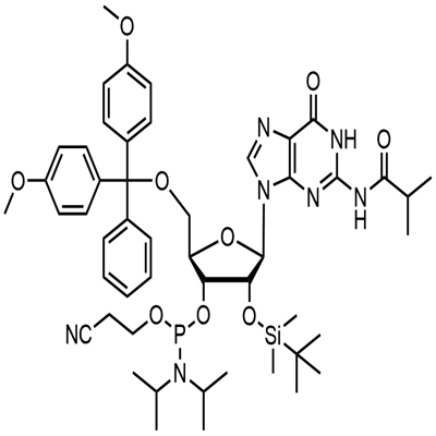 5'-O-(4,4-Dimetoksytritylo)-2'-O-[(tert-butylo)dimetylosililo]-N-izobutyryloguanozyno-3'-(2-cyjanoetylo-N,N-diizopropylo)fosforamidyn