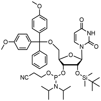5'-O-(4,4-Dimetoksytritylo)-2'-O-[(tert-butylo)dimetylosililo]urydyno-3'-(2-cyjanoetylo-N,N-diizopropylo)fosforamidyn