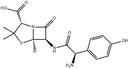 Amoksycylina