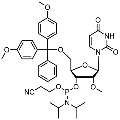 DMT-2'O-metylo-rU Fosforoamidyt