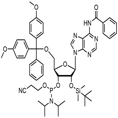 N-Benzoilo-5'-O-(4,4-Dimetoksytritylo)-2'-O-[(tert-butylo)dimetylosililo]adenozyno-3'-(2-cyjanoetylo-N,N-diizopropylo)fosforamidyn