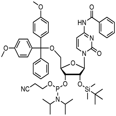 N-blokowany-5'-O-DMT-2'-O-TBDMS CED Fosforamidyn cytydyny