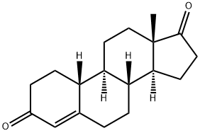 Norandrostendion