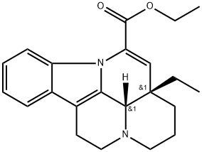 Winpocetyna